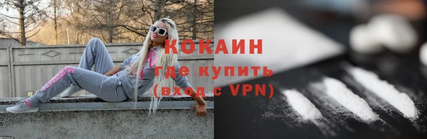 спиды Каменка