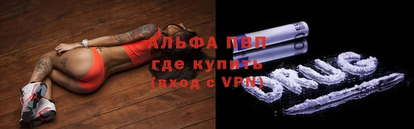 крисы Касимов