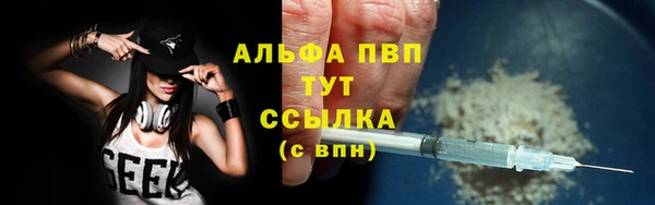 спиды Каменка