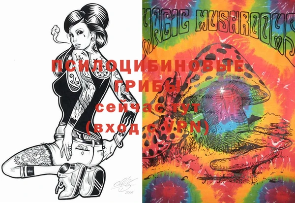 крисы Касимов