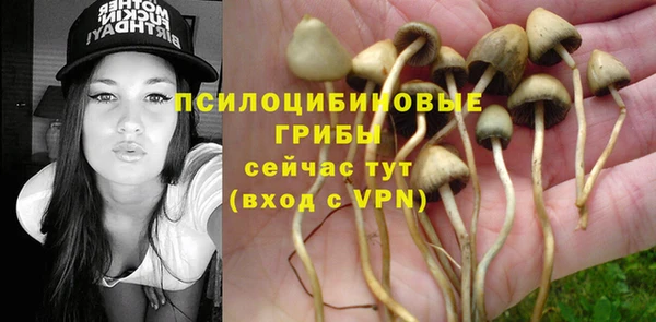 крисы Касимов