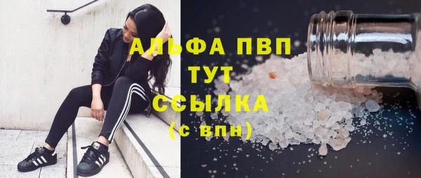крисы Касимов