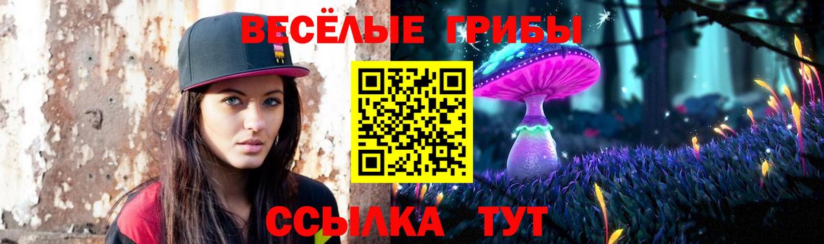 Псилоцибиновые грибы Cubensis  Вход с VPN  Сатка  продажа наркотиков  Псилоцибиновые грибы ЛСД 